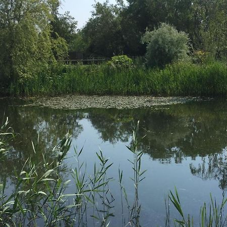 Hotel Y Cwt Bach Cardiff Zewnętrze zdjęcie