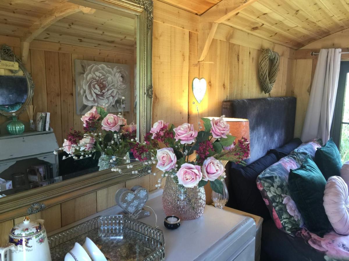 Hotel Y Cwt Bach Cardiff Zewnętrze zdjęcie
