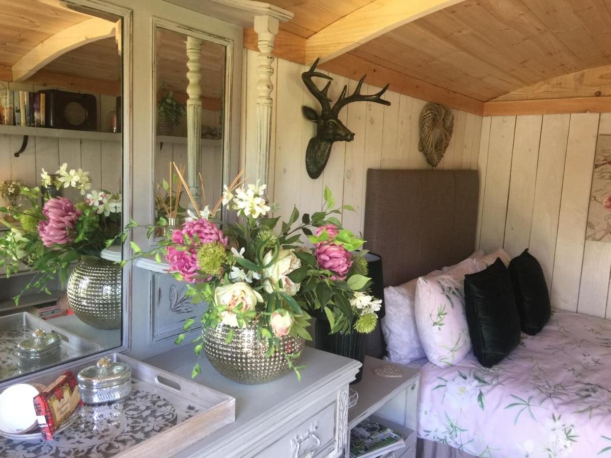Hotel Y Cwt Bach Cardiff Zewnętrze zdjęcie