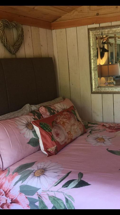 Hotel Y Cwt Bach Cardiff Zewnętrze zdjęcie
