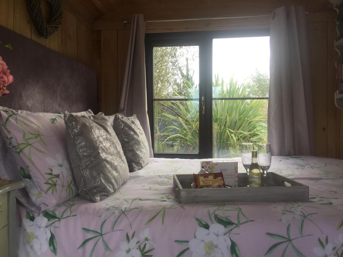 Hotel Y Cwt Bach Cardiff Zewnętrze zdjęcie
