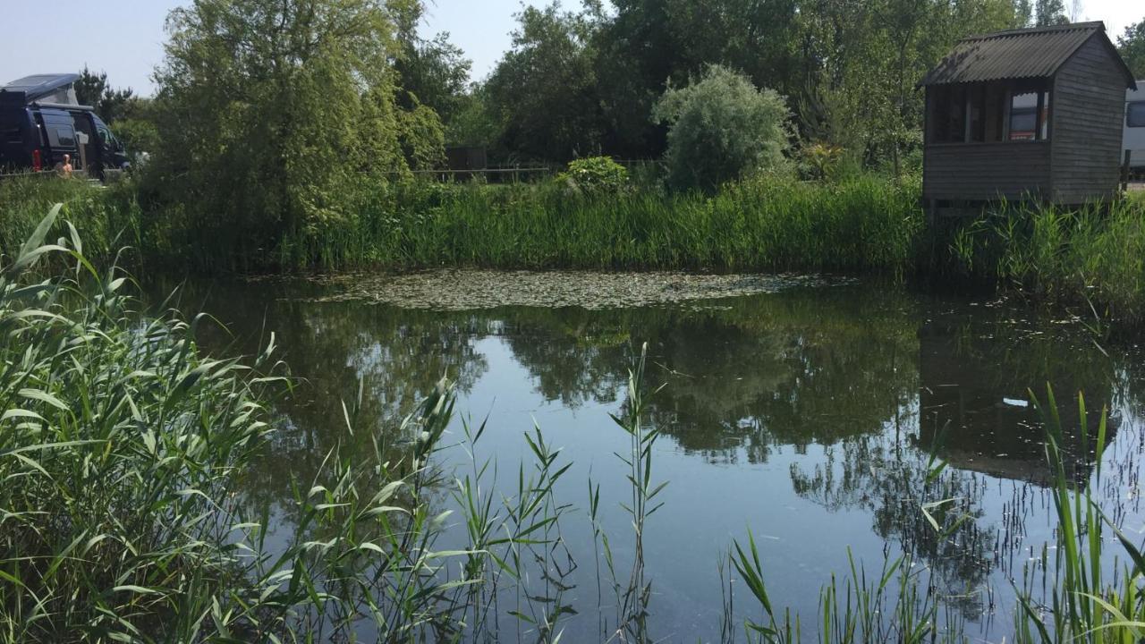 Hotel Y Cwt Bach Cardiff Zewnętrze zdjęcie
