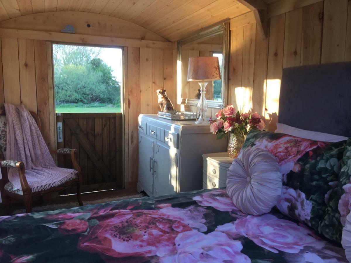 Hotel Y Cwt Bach Cardiff Zewnętrze zdjęcie